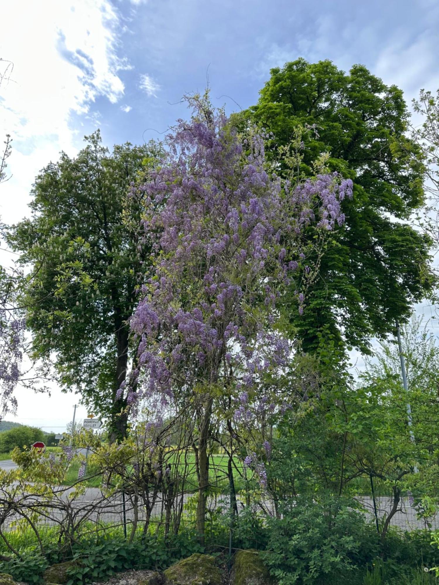 Appartamento Riviere Et Jardin A Vos Pieds Pulligny Esterno foto